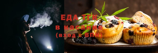PSILOCYBIN Балабаново