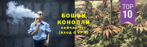 PSILOCYBIN Балабаново