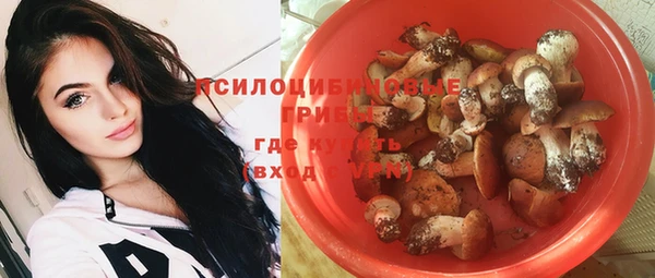 кокс Белокуриха