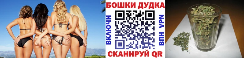 закладка  Каневская  Бошки Шишки OG Kush 